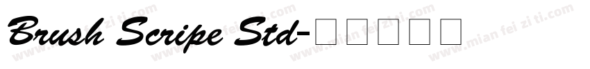 Brush Scripe Std字体转换